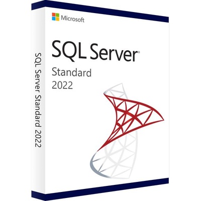 Microsoft SQL Server Standard Edition 2022 (228-11640)