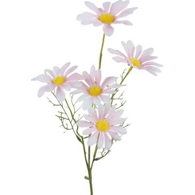 Sedmokráska stopková ružová 52 cm