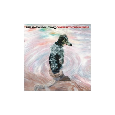 Pure Reason RevolutionComing Up To Consciousness CD+DVD
