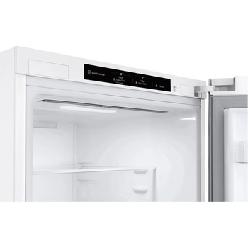 Image 1 of LG GBV3100DSW