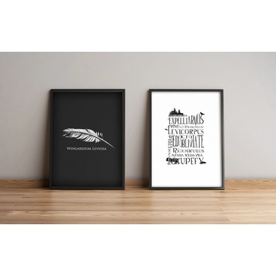 ASIR Obraz na MDF s rámem 2ks HARRY POTTER, EXPELLIARMUS 36 x 51 cm