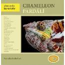 Chameleon pardálí