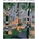 The Changing Wilderness - Will Stratton CD