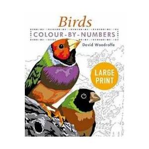 Large Print Colour by Numbers Birds (ISBN: 9781398808904)