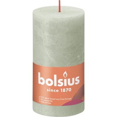 Bolsius Rustic Shine Valec 50x100mm