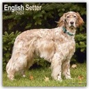 English Setter Square Dog Breed Wall 16 Month 2024