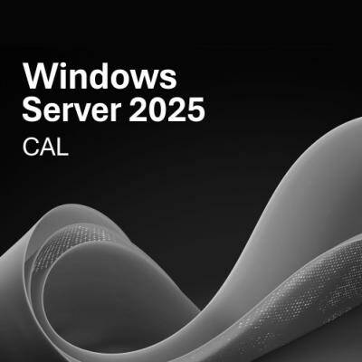 HPE Windows Server 2025 1 Device CAL P77111-B21