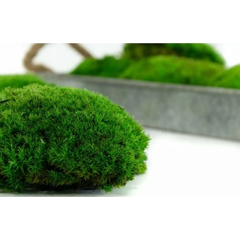 Stabilizovaný kopčekový mach mini - zelený Kus: 1