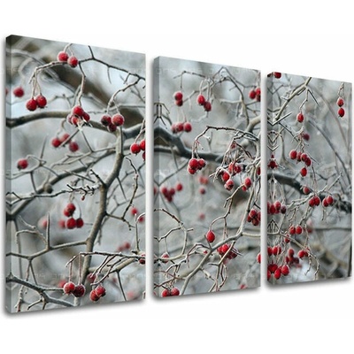 Obraz na stenu STROMY - 90x60 cm
