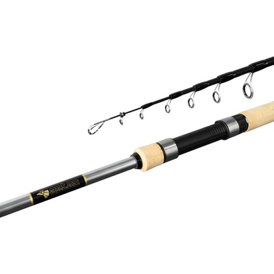 Delphin Aztec Tele 2,4 m 10 - 30 g 7 dielov