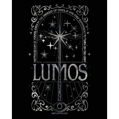 Zuty Malování Podle Čísel Plakát Lumos Harry Potter 40 x 50 Cm Plátno 8596530242321