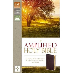 Amplified Holy Bible, Bonded Leather, Burgundy, Thumb Indexed | Zondervan Publishing (ISBN: 9780310443957)
