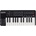 Samson Graphite M25