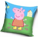 Carbotex Prasiatko Pepina V kaluži 40 x 40 cm