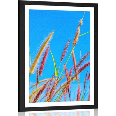 Plakát s paspartou divoká tráva pod modrou oblohou - 20x30 silver