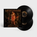 Immutable - Meshuggah LP