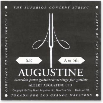 Augustine 126115