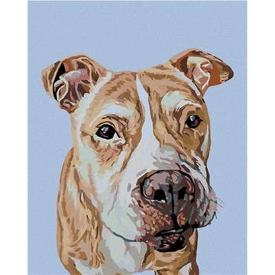 Zuty Malování podle čísel Hnědý staford 80 x 100 cm bez rámu a bez vypnutí plátna