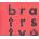Bratrstvo