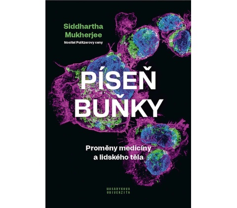 Píseň buňky