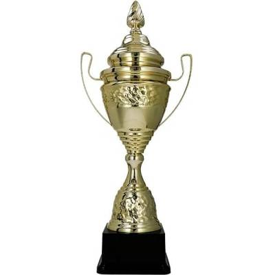 Kovová pohár Zlatý 66,5 cm 18 cm