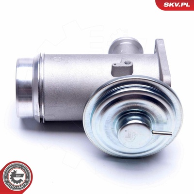 AGR-Ventil ESEN SKV 14SKV175