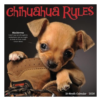 Willow Creek Press Chihuahua Rules 2026 12 X 12 Wall Calendar | Willow Creek Press