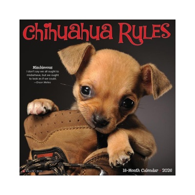 Willow Creek Press Chihuahua Rules 2026 12 X 12 Wall Calendar | Willow Creek Press