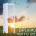 Lee Stone & Hemi-sync - Exploring Our Future CD