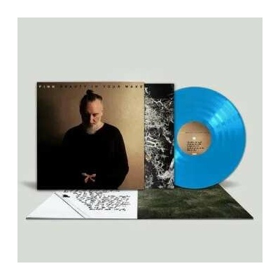 FINK - BEAUTY IN YOUR WAKE 1 LP