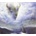 Crown Lands - White Buffalo CD
