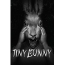 Tiny Bunny