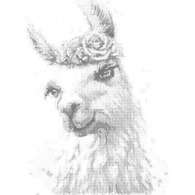ZUTY Bodkovanie - LAMA S KVETMI Rámovanie: vypnuté plátno na rám, Rozmer: 40x50 cm