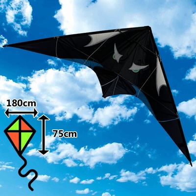 D&P Dvojšnúrový športový šarkan 180cm – Zboží Dáma