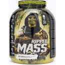 Gainery SKULL LABS® Ripper Mass 3000 g
