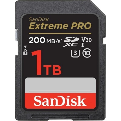 SanDisk Class 10 SDXC 1TB UHS-I U3 SDSDXXD-1T00-GN4IN