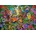 Castorland - Puzzle Jungle Fashion - 500 piese