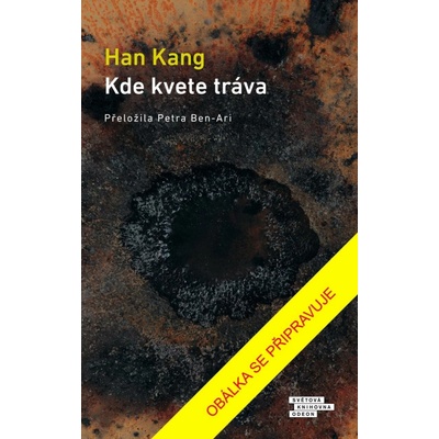 Kde kvete tráva - Han Kang