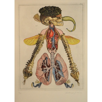 Jan Švankmajer, Z cyklu Přírodopis Tabulka č. 4