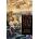 Constantine the Emperor | David Potter