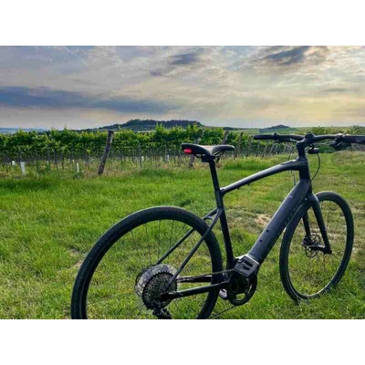 Cyklo a wellness pobyt na jižní Moravě