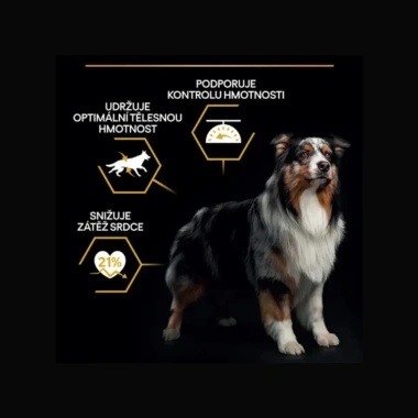 Pro Plan All Sizes Adult Dog Popis účinků Pro Plan All Sizes Adult Dog