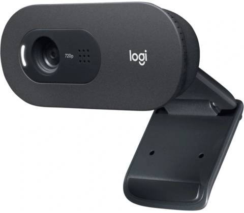 Logitech C505e Business Webcam