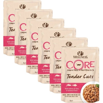 Wellness Core Tender Cuts losos & tuňák 6 x 85 g