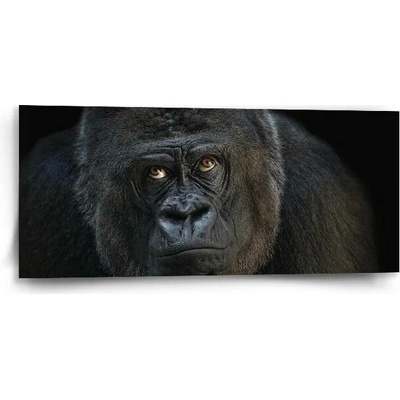 Sablio Obraz Gorila - 110x50 cm