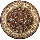 Sintelon Teheran Practica 59/DMD Hnědá