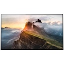 Sony Bravia KD-55A1