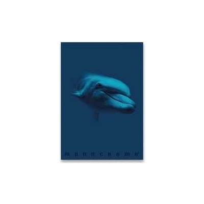 Monocromo Školní sešit Blue A4 linkovaný