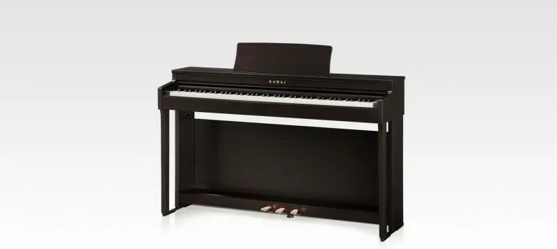 Kawai CN-201