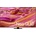 Samsung QE55QN90FAT
